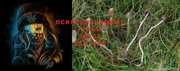 мдпв Бугульма